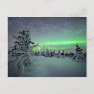 Carte Postale Glace et neige Parc national de Pallas-Yllastunt