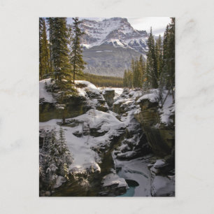 Carte Postale Glace et neige Parc national Jasper Alberta, Can