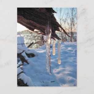 Carte Postale glace froide d'hiver après la première tempête de