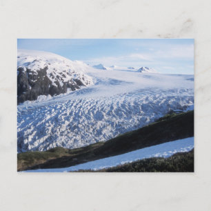 Carte Postale Glacier Exit dans le parc national des fjords de K