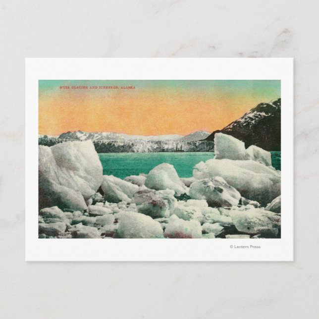 Carte Postale Glacier Muir et Icebergs en Alaska #1State (Devant)
