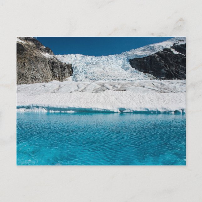 Carte Postale Glacière Juneau Icefield et lac super glaciaire (Devant)