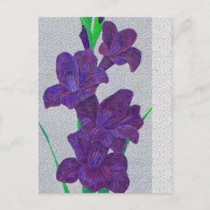 carte postale gladiolus