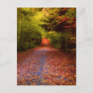 Carte Postale Glen Forest