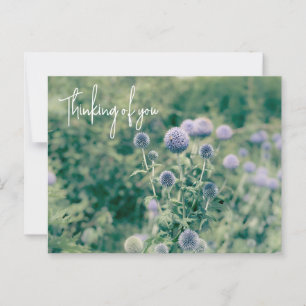 Carte Postale Globe Thistle Penser À Vous