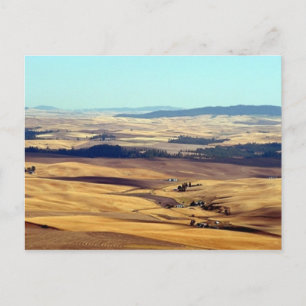 Carte Postale Gloire de la Palouse