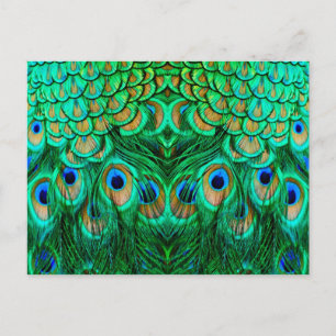 Carte Postale Glorious Peacock