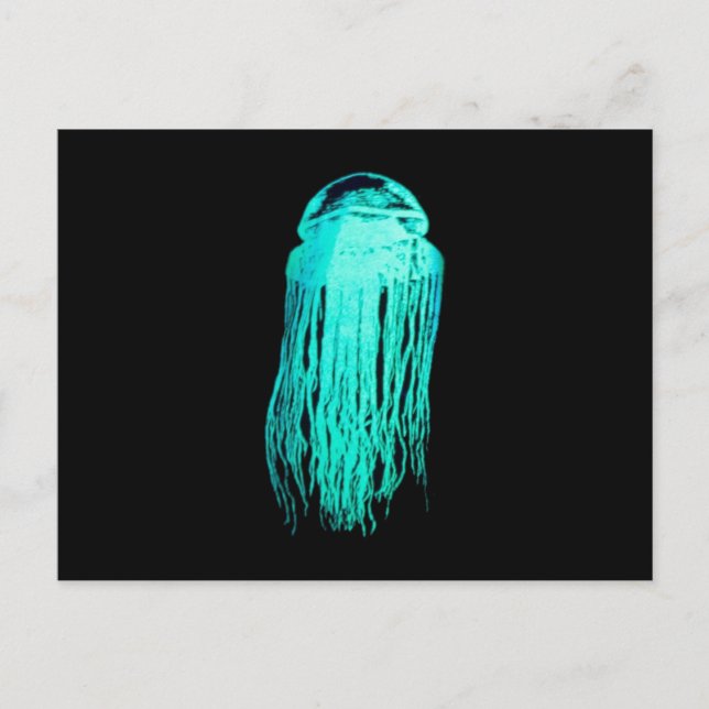 Carte Postale Glowees Jellyfish (Devant)