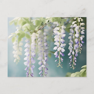 Carte Postale Glycine Romantique Aquarelle sur Bleu Poussiéreux