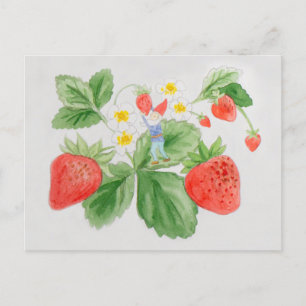 Carte postale Gnome aux fraises