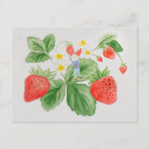 Carte postale Gnome aux fraises