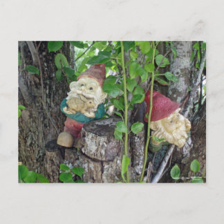 CARTE POSTALE GNOMES ARBRES