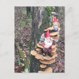 Carte Postale Gnomes et champignons de la queue de dinde