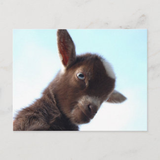 Carte Postale Goatzilla