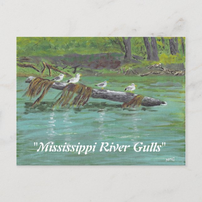 Carte Postale Goélands du Mississippi (Devant)