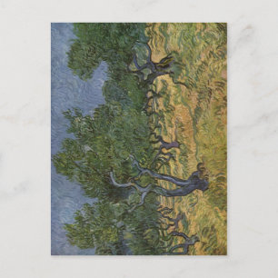 Carte Postale Gogh, Vincent van Olivenhain 1889 Technique ? l au