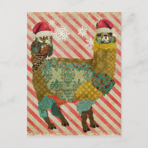 Carte postale Gold Alpaca & Chouette Turquoise Chr