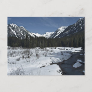 Carte Postale Gold Creek