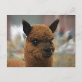 Carte Postale Golden Alpaca