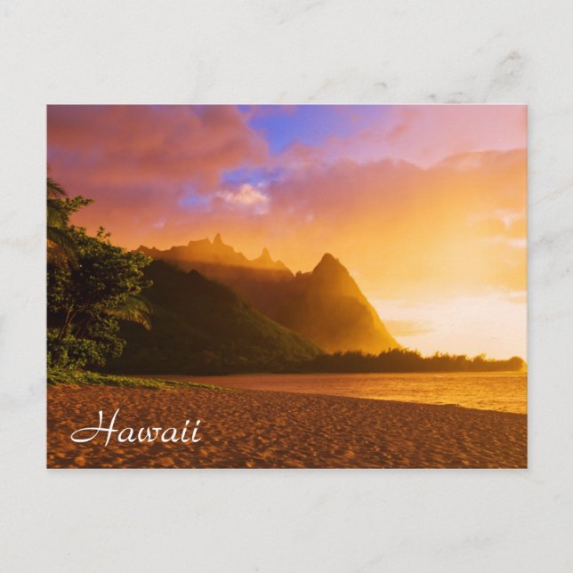 Carte Postale Golden beach sunset (Devant)