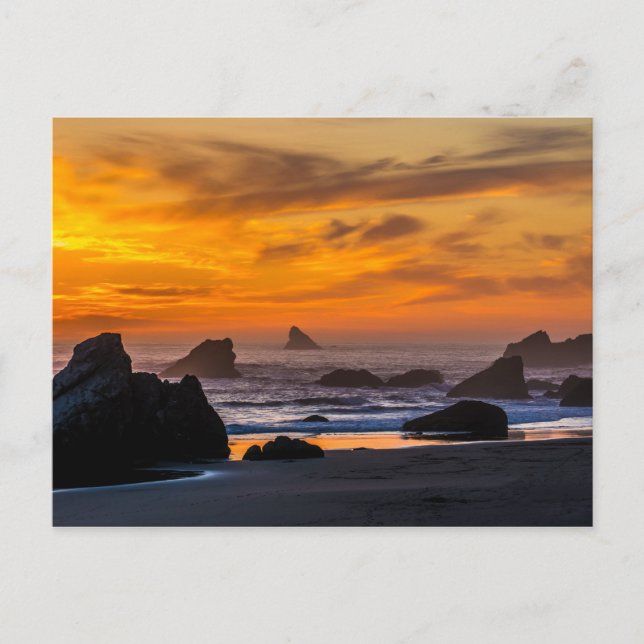 Carte Postale Golden Harris Beach Sunset - Oregon (Devant)