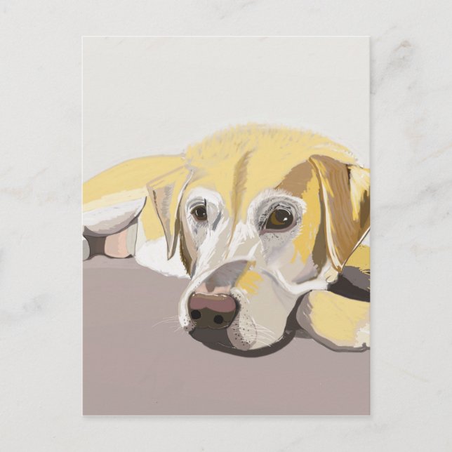 Carte Postale Golden Labrador (Devant)