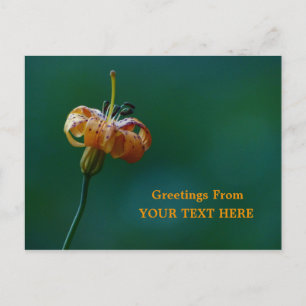 Carte Postale Golden Lily Fleur sauvage Salutations Keepsaké