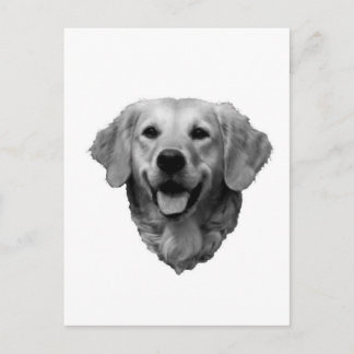 Carte Postale Golden retriever