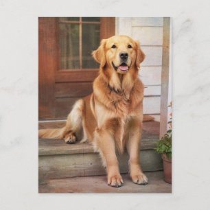 Carte Postale Golden Retriever