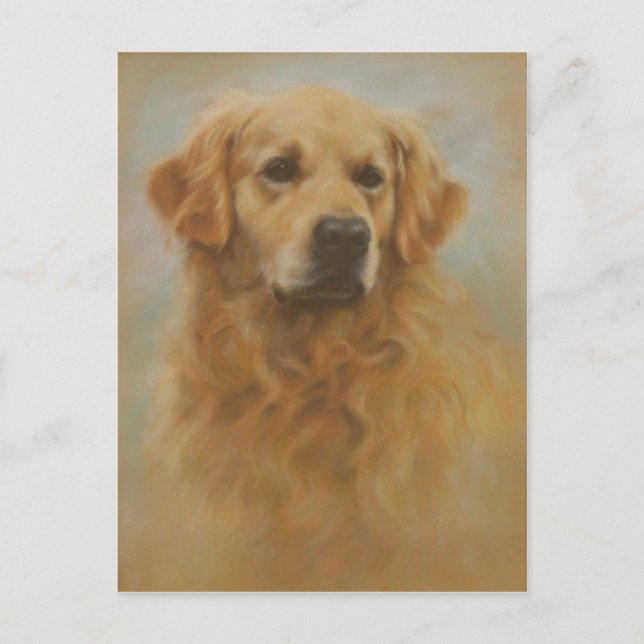 Carte Postale Golden Retriever (Devant)