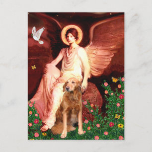 Carte Postale Golden Retriever 9 - Ange assis