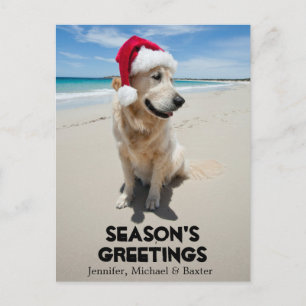 Carte Postale Golden Retriever à la plage vierge