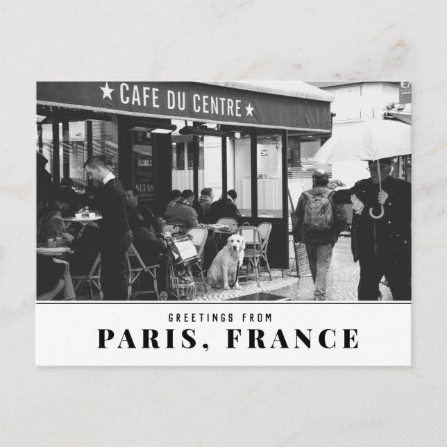Carte Postale Golden Retriever à Paris (Devant)