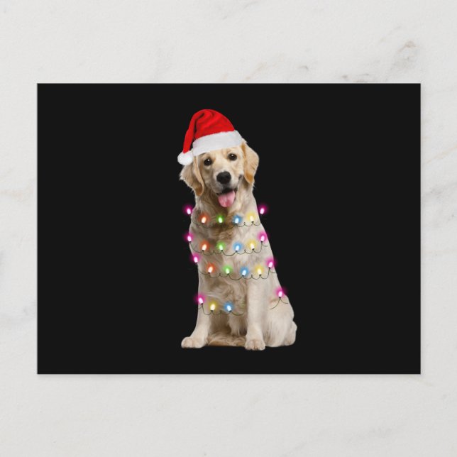 Carte Postale golden retriever assis avec noël (Devant)