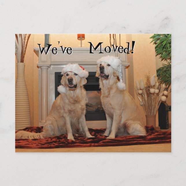 Carte Postale Golden Retriever avec chapeaux santa sur une nouve (Devant)