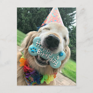 Carte Postale Golden Retriever Chien Avec Treat Joyeux Anniversa
