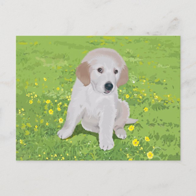 Carte postale Golden Retriever Chien Chien (Devant)