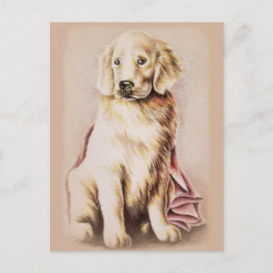 Carte Postale Golden Retriever Chien Chien Chien de Chien Chien 
