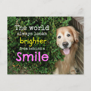 Carte Postale Golden Retriever Derrière Un Sourire