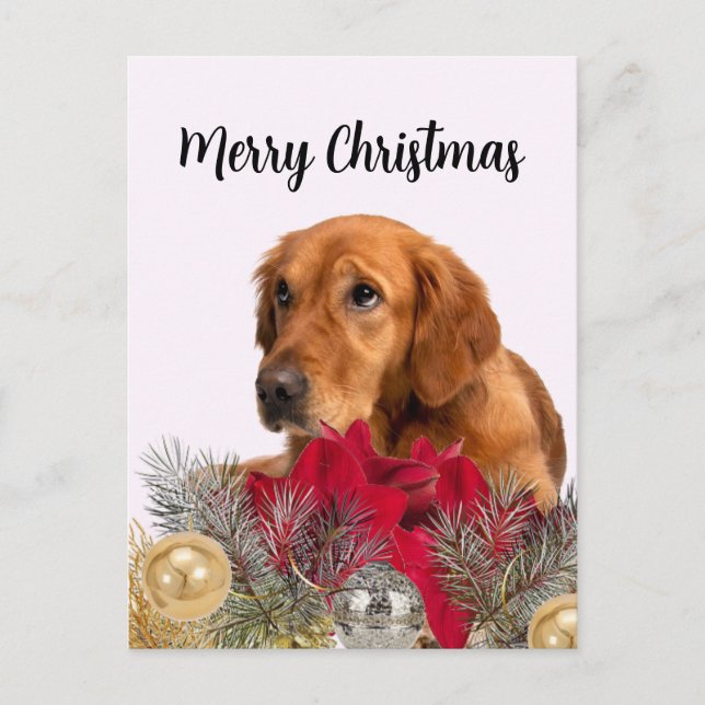 Carte Postale Golden Retriever Dog avec ornements de Noël (Devant)