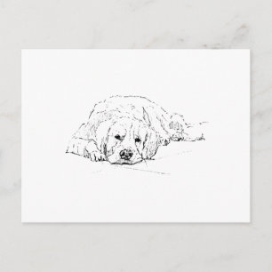 Carte Postale Golden Retriever endormi, Amateur de chiens, Dessi