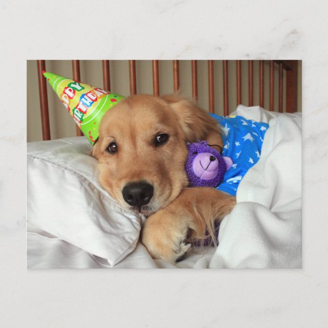 Carte Postale Golden Retriever endormi en pyjama d'anniversaire (Devant)
