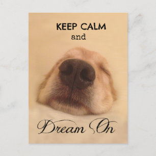 Carte Postale Golden Retriever Gardez le calme Rêver sur
