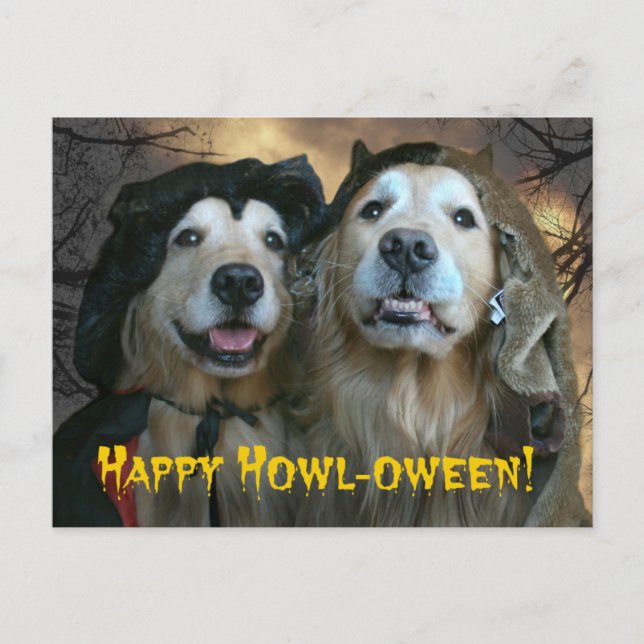 Carte Postale Golden Retriever Happy Howl-oween (Devant)