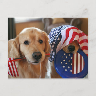 Carte postale Golden Retriever Independence Day