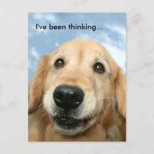 Carte Postale Golden Retriever Je pense