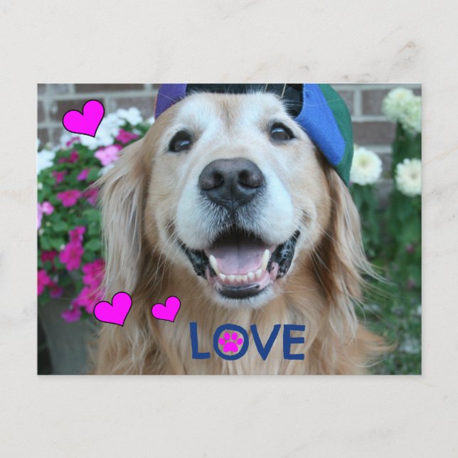 Carte Postale Golden Retriever Love (Devant)