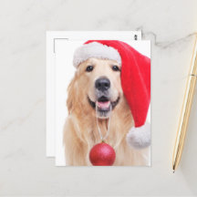 Golden Retriever Père Noël