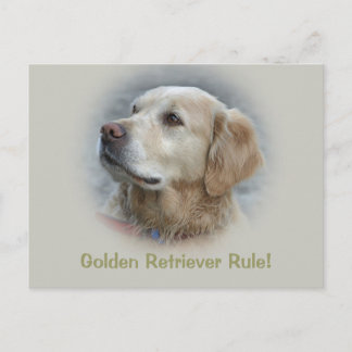 Carte Postale Golden Retriever Rule ! -Carte
