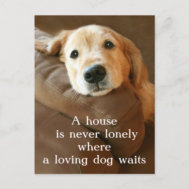 Carte Postale Golden Retriever Une Maison N'Est Jamais Seule (Devant)